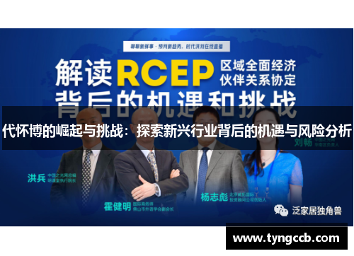 代怀博的崛起与挑战：探索新兴行业背后的机遇与风险分析