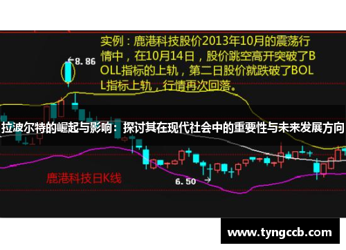 拉波尔特的崛起与影响：探讨其在现代社会中的重要性与未来发展方向